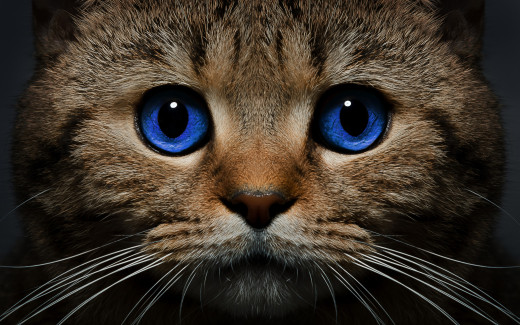 983967 (a): :2880x1800